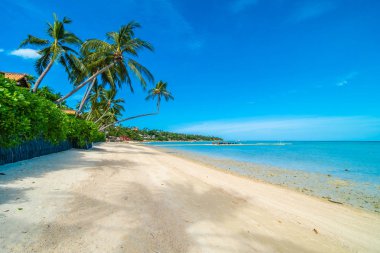 Güzel tropikal plaj deniz ve kum mavi gökyüzü ve beyaz bulut seyahat ve tatil için Hindistan cevizi hurma ağacı ile
