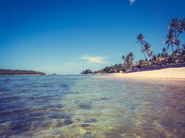 Güzel tropikal plaj ve deniz ile Hindistan cevizi hurma ağacının seyahat ve tatil