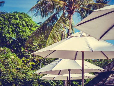 Hindistan cevizi hurma ağacı ile deniz okyanus seyahat ve tatil için mavi gökyüzü arka plan üzerinde Beyaz şemsiye