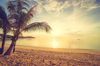 Günbatımı zaman tropik cennet ada plaj ve deniz ile Hindistan cevizi palmiye ağacı üzerinde tatil ve tatil için