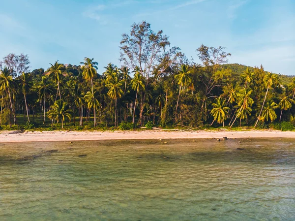 Vista Aerea Bella Spiaggia Tropicale Mare Con Alberi Sull Isola — Foto Stock