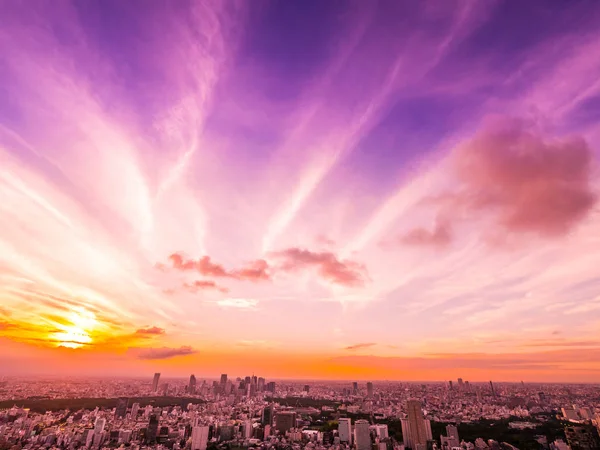 Beautiful Aerial View Architecture Building Tokyo City Sunset Time Japan — Stock Photo, Image