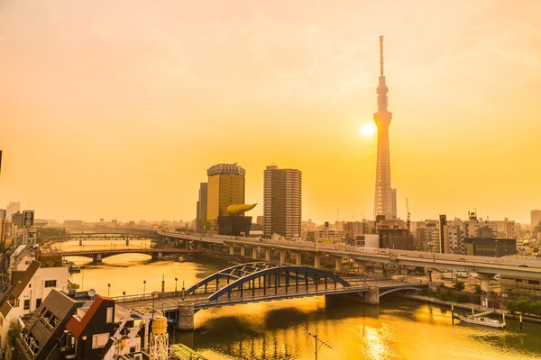 Tokyo City Tokyo Gökyüzü Ağaca Gündoğumu Japonya Ile Bina Güzel — Stok fotoğraf