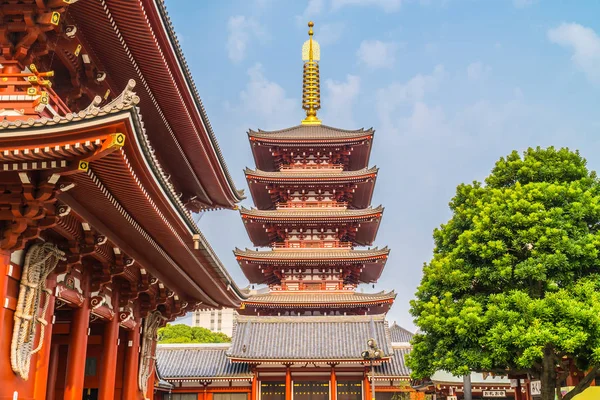 Güzel Mimari Sensoji Tapınağı Inşa Ünlü Ziyaret Asakusa Alan Tokyo — Stok fotoğraf