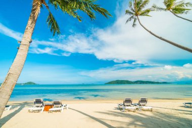 Güzel tropikal plaj ve Hindistan cevizi hurma ağacı ve Cennet Adası sandalyede denize sıfır