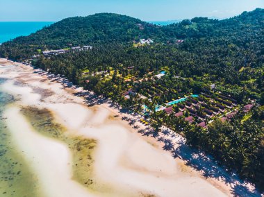 Seyahat ve tatil için adada güzel tropikal plaj ve deniz ağaçları ile havadan görünümü