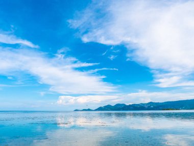 Güzel tropikal plaj ve deniz ile Hindistan cevizi hurma ağacının seyahat ve tatil