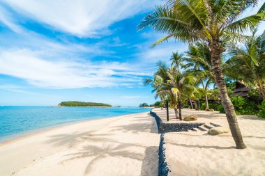 Güzel tropikal plaj deniz ve kum mavi gökyüzü ve beyaz bulut seyahat ve tatil için Hindistan cevizi hurma ağacı ile