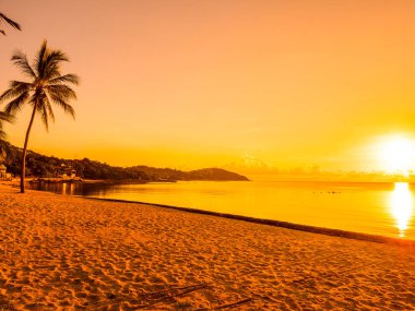 Güzel tropikal plaj deniz ve okyanus ile Hindistan cevizi hurma ağacı gündoğumu zaman seyahat ve tatil için