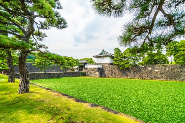 Güzel eski mimari İmparatorluk Sarayı Kalesi hendek ve Tokyo şehir Japonya köprüsünde