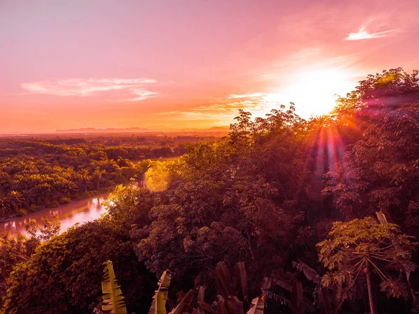 Vackra Flygfoto Med Grön Skogslandskap Twilight Och Solnedgången Tid För — Stockfoto