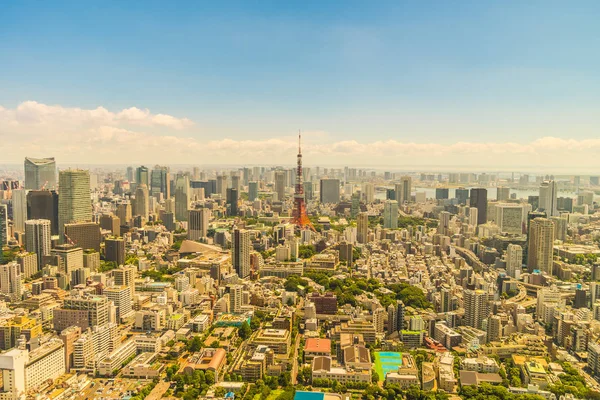 Bela Arquitetura Edifício Paisagem Urbana Tokyo Japão — Fotografia de Stock