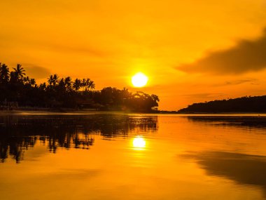 Güzel tropikal plaj deniz ve okyanus ile Hindistan cevizi hurma ağacı gündoğumu zaman seyahat ve tatil için