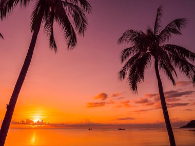 Güzel tropikal plaj deniz ve okyanus ile Hindistan cevizi hurma ağacı gündoğumu zaman seyahat ve tatil için