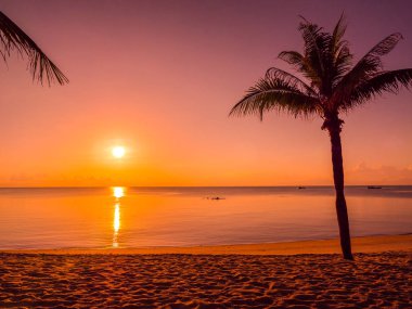Güzel tropikal plaj deniz ve okyanus ile Hindistan cevizi hurma ağacı gündoğumu zaman seyahat ve tatil için