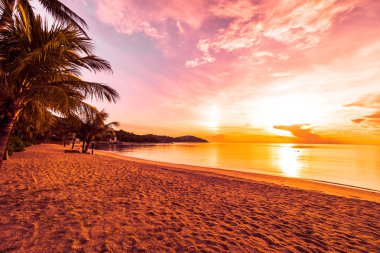 Günbatımı zaman tropik cennet ada plaj ve deniz ile Hindistan cevizi palmiye ağacı üzerinde tatil ve tatil için