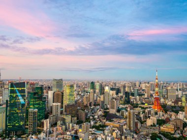 Japonya'da günbatımı zaman şehirde bina mimari ve tokyo kule güzel havadan görünümü