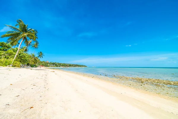 Beautiful Tropical Beach Sea Sand Coconut Palm Tree Blue Sky — Stock Photo, Image