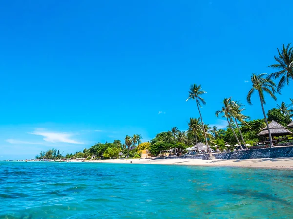 Bella Spiaggia Tropicale Mare Con Palma Cocco Viaggi Vacanze — Foto Stock