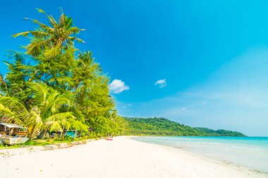 Güzel doğa tropikal plaj ve Hindistan cevizi hurma ağacı için cennet adasında tatil seyahat