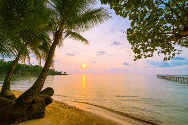 Plaj ve deniz Hindistan cevizi hurma ağacı günbatımı zaman - tatil tatil ve seyahat kavramı etrafında güzel Cennet Adası