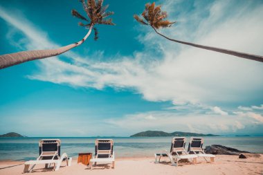 Güzel tropikal plaj ve Hindistan cevizi hurma ağacı ve Cennet Adası sandalyede denize sıfır