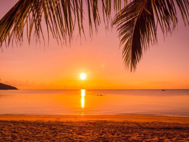 Güzel tropikal plaj deniz ve okyanus ile Hindistan cevizi hurma ağacı gündoğumu zaman seyahat ve tatil için