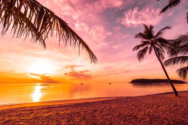 Günbatımı zaman tropik cennet ada plaj ve deniz ile Hindistan cevizi palmiye ağacı üzerinde tatil ve tatil için