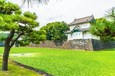 Güzel eski mimari İmparatorluk Sarayı Kalesi hendek ve Tokyo şehir Japonya köprüsünde