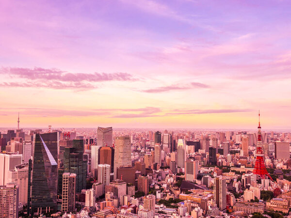 Beautiful Aerial view of architecture and tokyo tower building around city at sunset time in japan