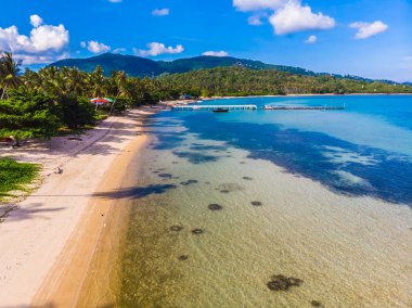 Güzel tropikal plaj ve deniz hurma ve koh samui Adası seyahat ve tatil için diğer ağacında havadan görünümü