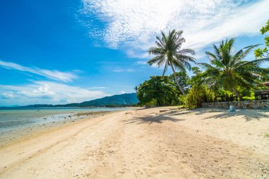 Güzel tropikal plaj deniz ve kum mavi gökyüzü ve beyaz bulut seyahat ve tatil için Hindistan cevizi hurma ağacı ile