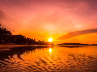 Güzel tropikal plaj deniz ve okyanus ile Hindistan cevizi hurma ağacı gündoğumu zaman seyahat ve tatil için