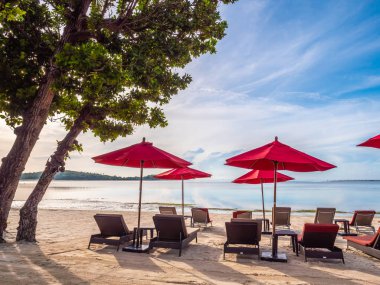 Şemsiye ve tropikal plaj deniz ve okyanus seyahat ve tatil için sandalye