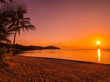 Güzel tropikal plaj deniz ve okyanus ile Hindistan cevizi hurma ağacı gündoğumu zaman seyahat ve tatil için