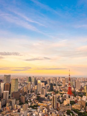 Japonya'da günbatımı zaman şehirde bina mimari ve tokyo kule güzel havadan görünümü