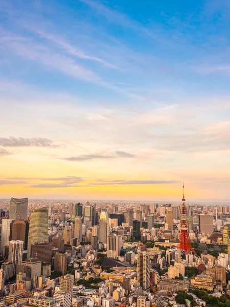 Krásný Letecký Pohled Architekturu Tokyo Tower Budova Kolem Města Době — Stock fotografie