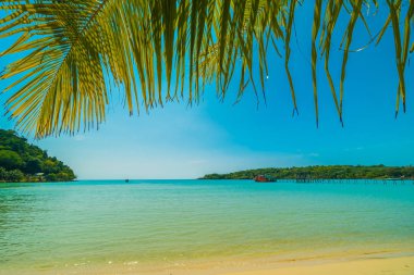 Güzel tropikal plaj ve deniz paradise Island Seyahat ve tatil için Hindistan cevizi hurma ağacı