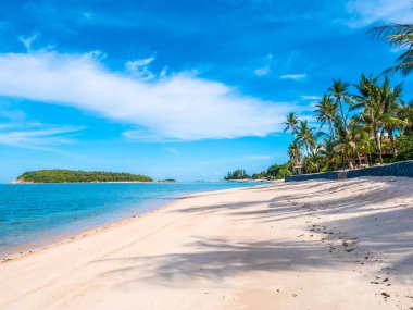Güzel tropikal plaj ve deniz ile Hindistan cevizi hurma ağacının seyahat ve tatil