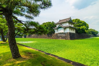 Güzel eski mimari İmparatorluk Sarayı Kalesi hendek ve Tokyo şehir Japonya köprüsünde