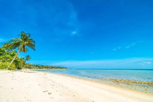 Piękna Plaża Tropikalne Morze Piasek Palmy Kokosowe Drzewo Błękitne Niebo — Zdjęcie stockowe