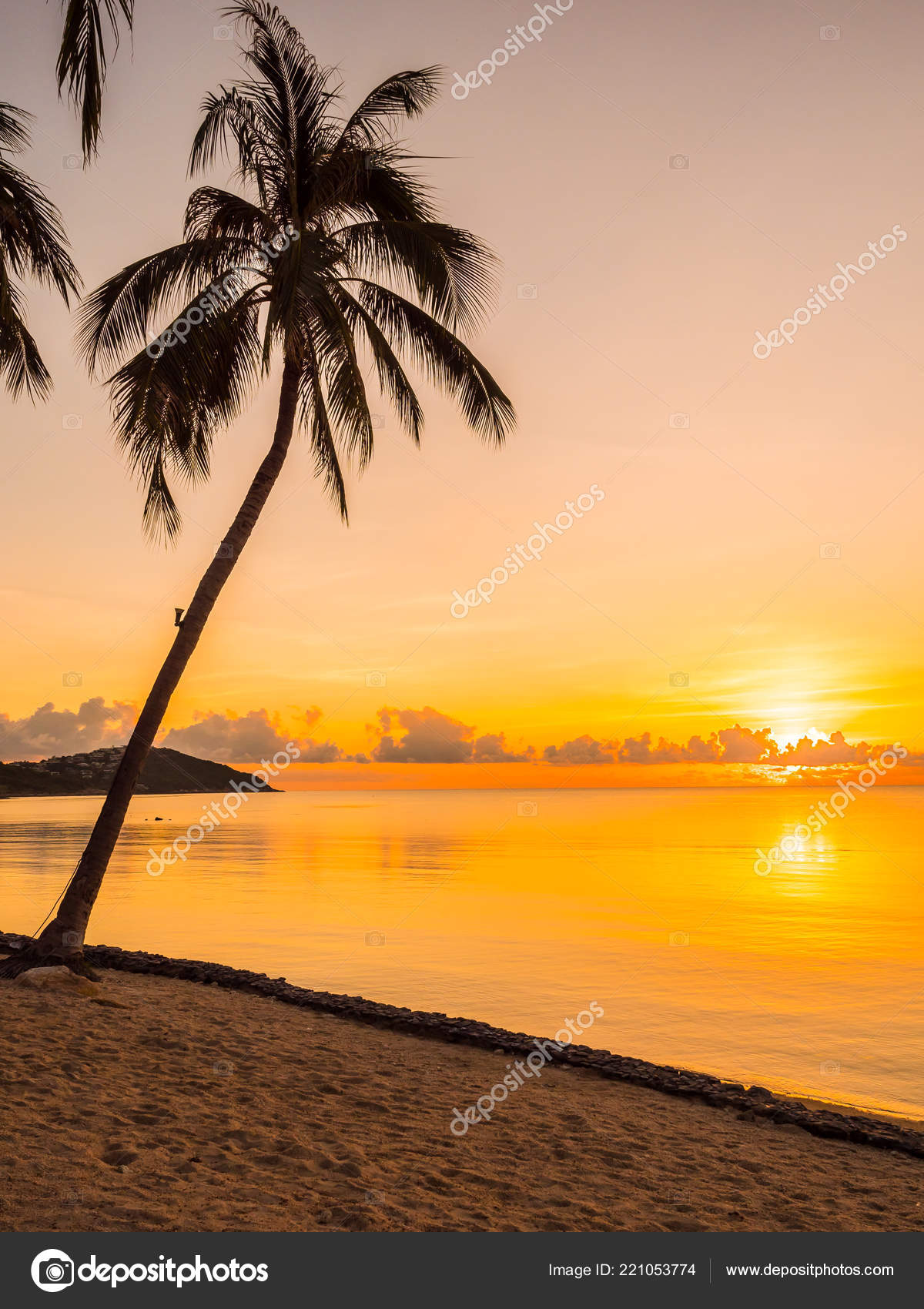 Beautiful Tropical Beach Sea Ocean Coconut Palm Tree Sunrise Time — Stock  Photo © mrsiraphol #221053774, image size:1200x1700