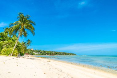 Güzel tropikal plaj deniz ve kum mavi gökyüzü ve beyaz bulut seyahat ve tatil için Hindistan cevizi hurma ağacı ile