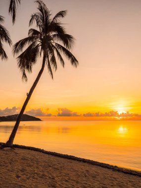 Güzel tropikal plaj deniz ve okyanus ile Hindistan cevizi hurma ağacı gündoğumu zaman seyahat ve tatil için