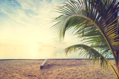 Günbatımı zaman tropik cennet ada plaj ve deniz ile Hindistan cevizi palmiye ağacı üzerinde tatil ve tatil için