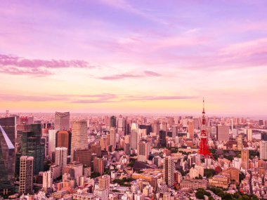 Japonya'da günbatımı zaman şehirde bina mimari ve tokyo kule güzel havadan görünümü