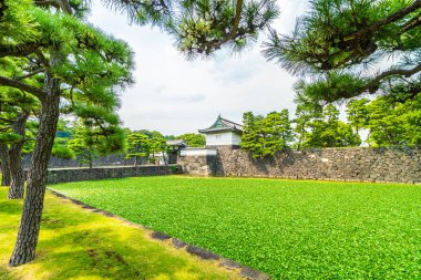 Güzel eski mimari İmparatorluk Sarayı Kalesi hendek ve Tokyo şehir Japonya köprüsünde