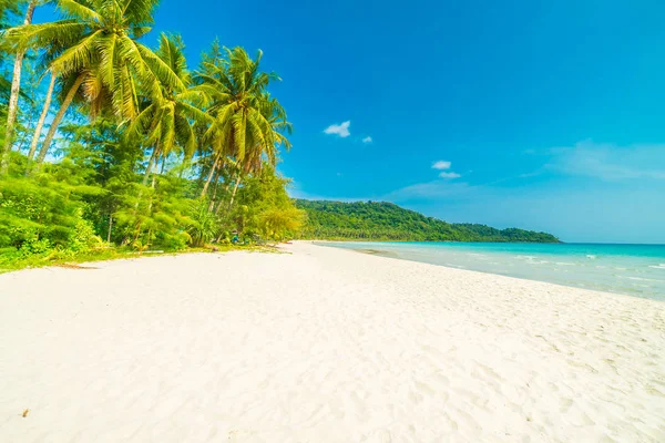 Beautiful Nature Tropical Beach Sea Coconut Palm Tree Paradise Island — Stock Photo, Image