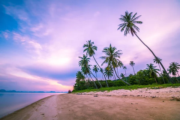 Wunderschöner Tropischer Strand Und Meer Mit Kokospalmen Bei Sonnenaufgang Langzeitbelichtung — Stockfoto