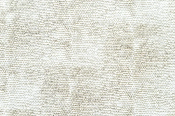 Abstraktní Bílá Kůže Povrchu Pro Pozadí — Stock fotografie